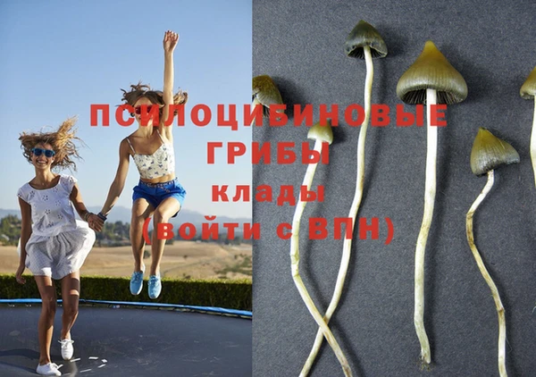 ешки Алзамай