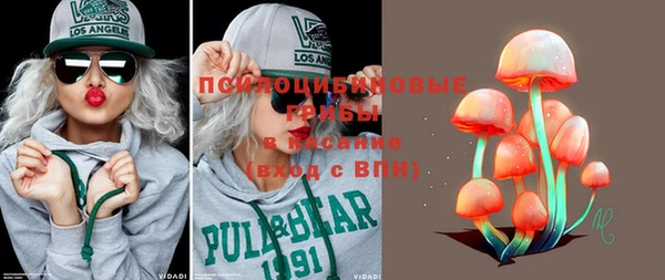 apvp Новодвинск