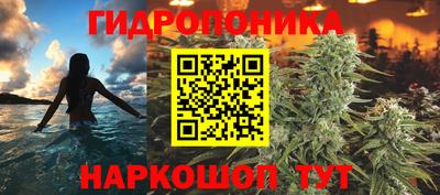 индика Нягань