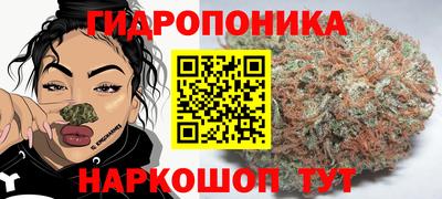 индика Нягань