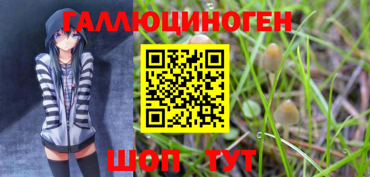 Псилоцибиновые грибы Magic Shrooms  Вход с VPN  Туймазы 